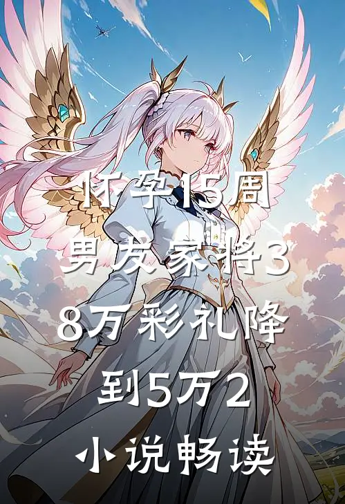 怀孕15周，男友家将38万彩礼降到5万2小说畅读