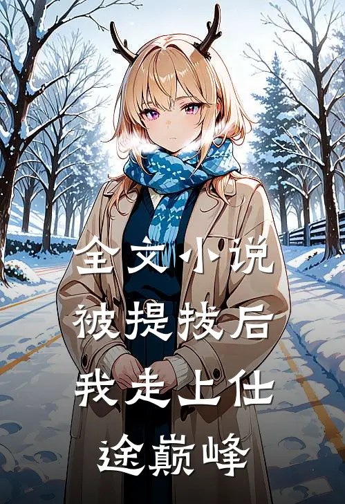 全文小说被提拔后，我走上仕途巅峰