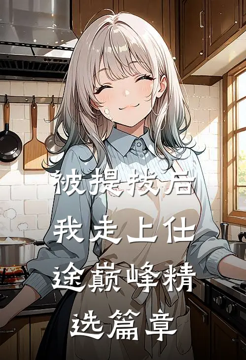 被提拔后，我走上仕途巅峰精选篇章