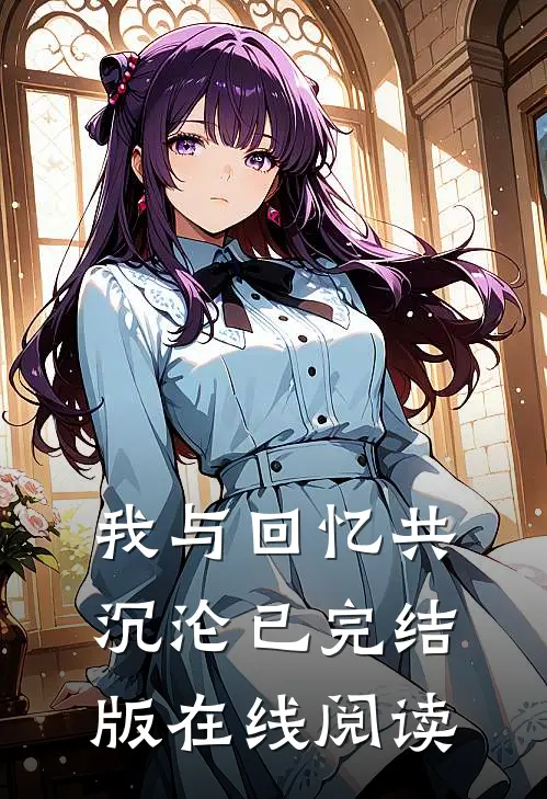 我与回忆共沉沦已完结版在线阅读