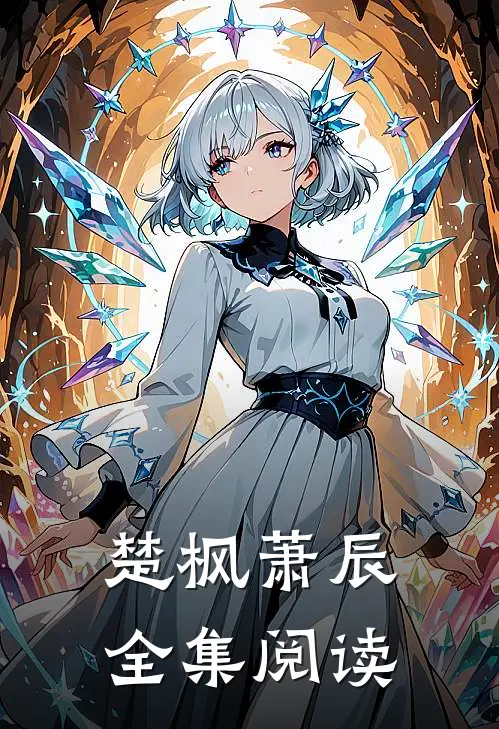 楚枫萧辰全集阅读