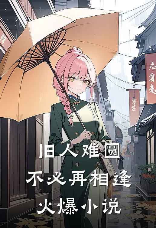 旧人难圆，不必再相逢火爆小说