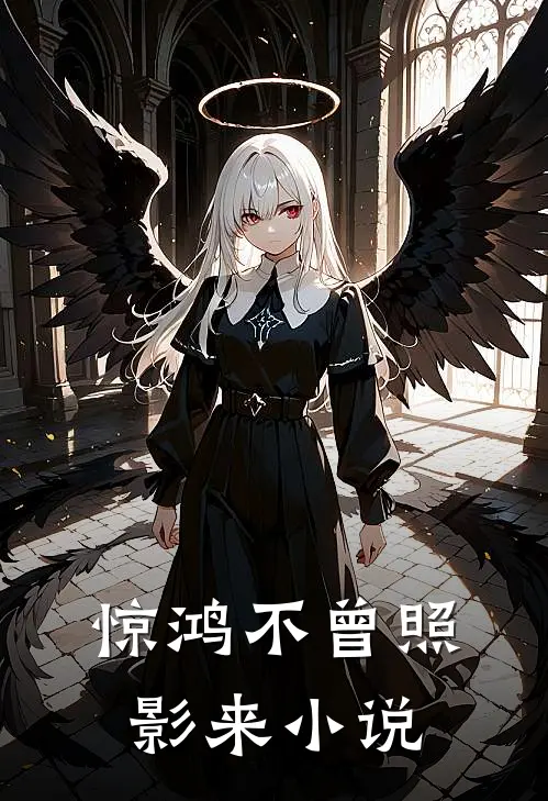惊鸿不曾照影来小说