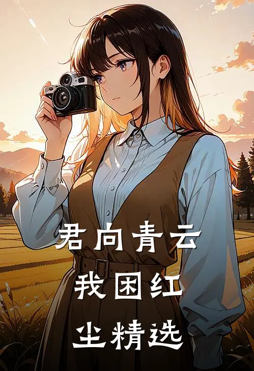 君向青云，我困红尘精选