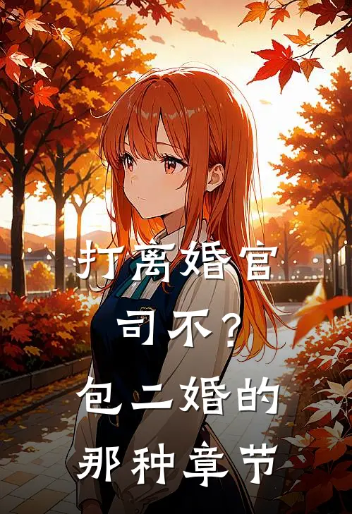 打离婚官司不？包二婚的那种章节