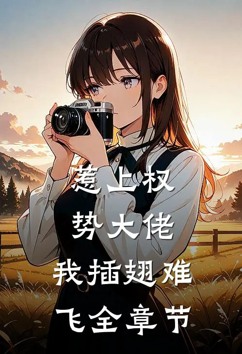 惹上权势大佬，我插翅难飞全章节