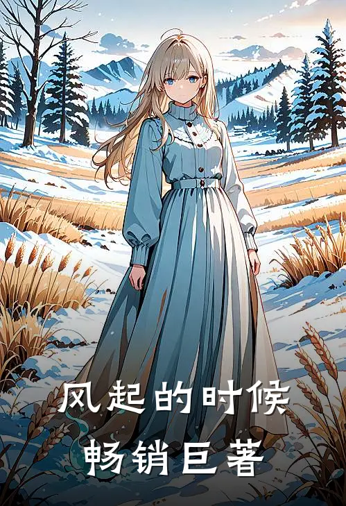 风起的时候畅销巨著