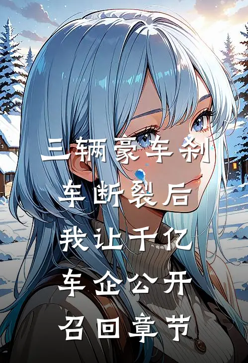 三辆豪车刹车断裂后，我让千亿车企公开召回章节