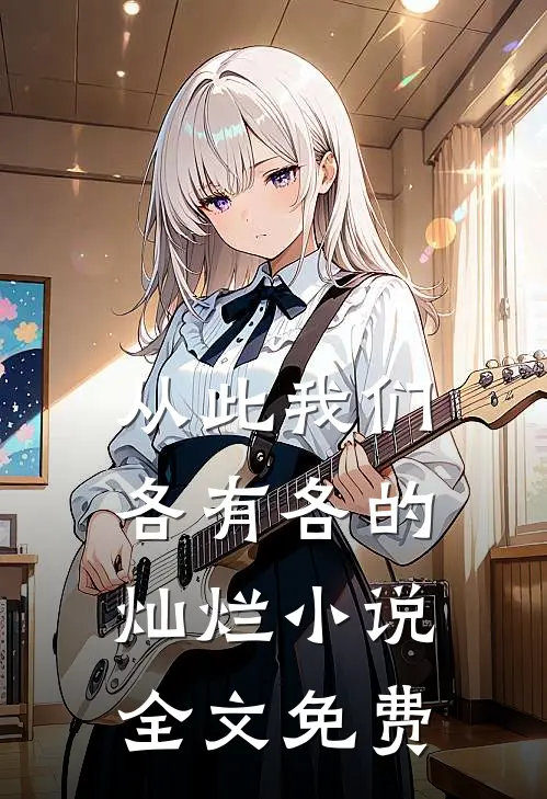 从此我们，各有各的灿烂小说全文免费