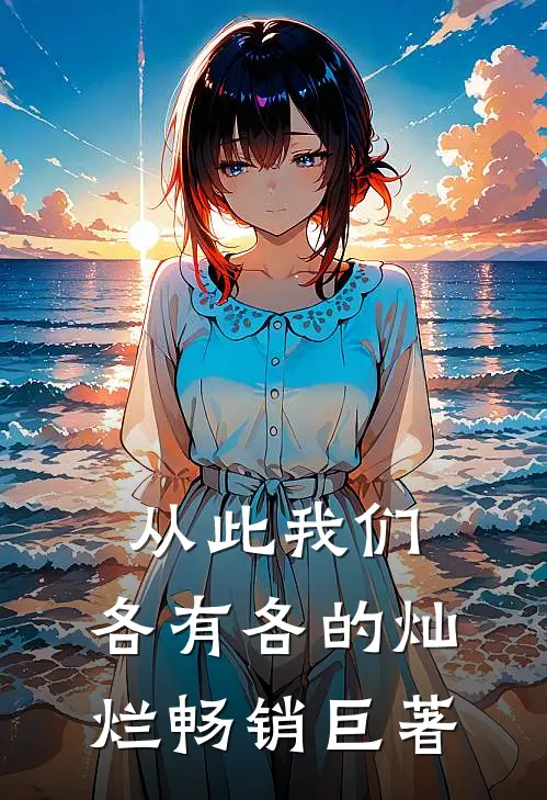 从此我们，各有各的灿烂畅销巨著