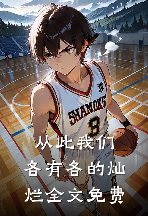 从此我们，各有各的灿烂全文免费