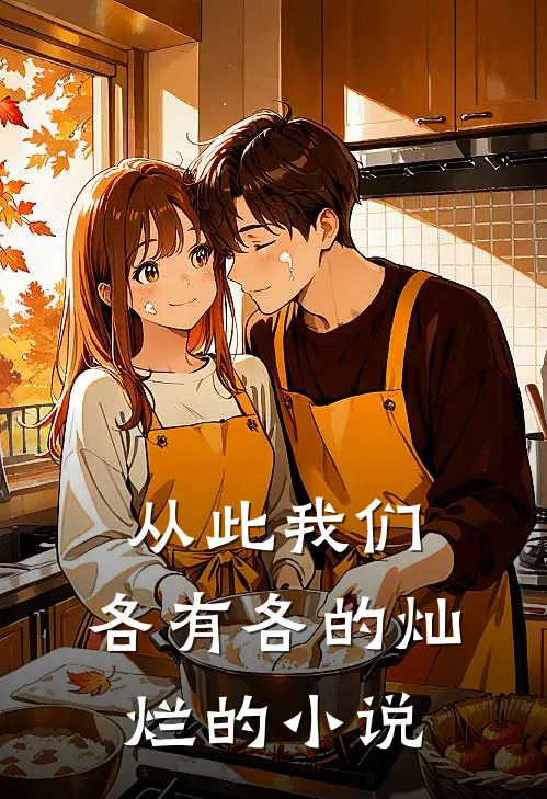 从此我们，各有各的灿烂的小说