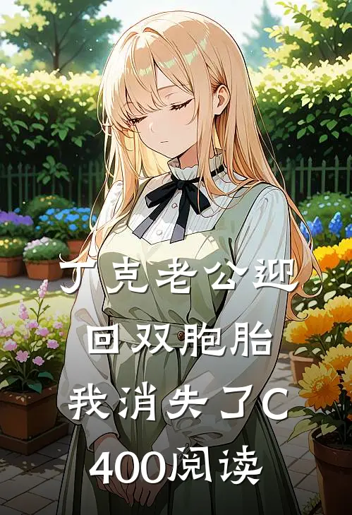 丁克老公迎回双胞胎，我消失了C400阅读