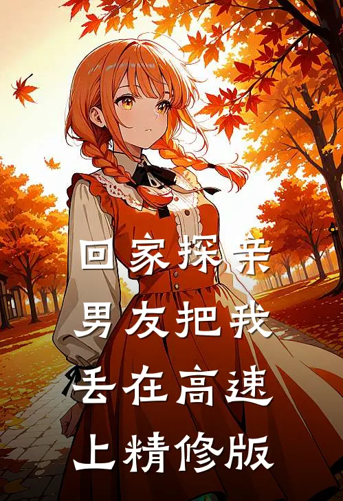 回家探亲，男友把我丢在高速上精修版