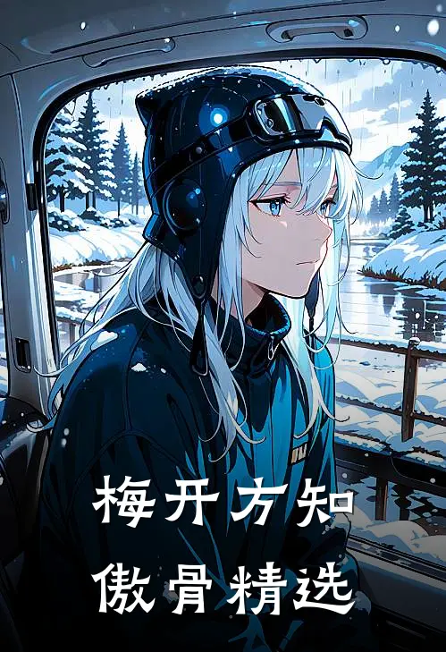 梅开方知傲骨精选