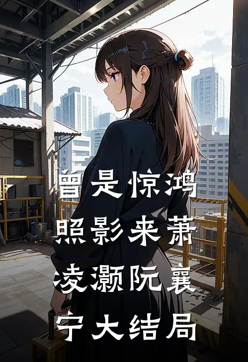 曾是惊鸿照影来萧凌灏阮襄宁大结局