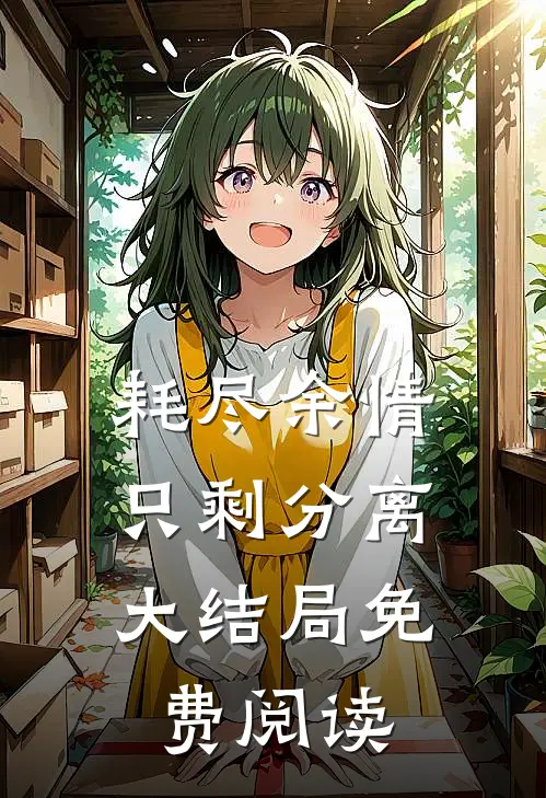 耗尽余情，只剩分离大结局免费阅读