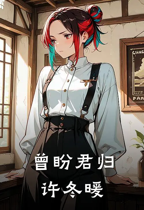 曾盼君归许冬暖