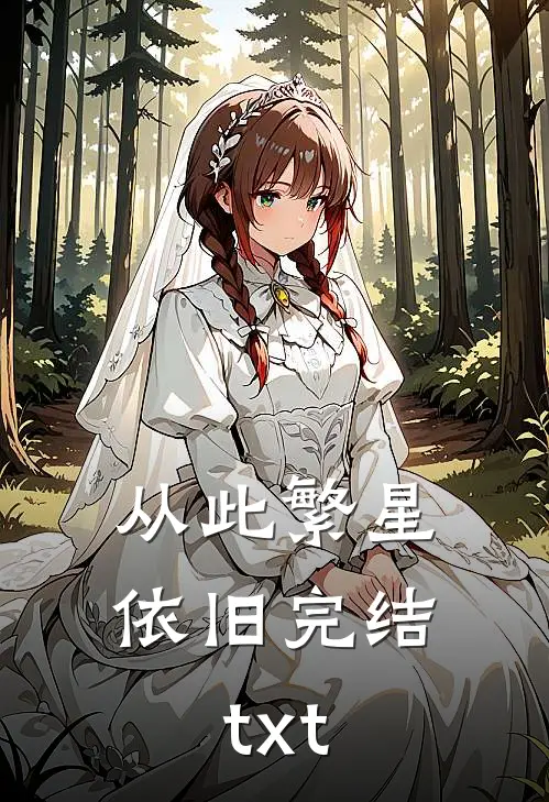 从此繁星依旧完结txt