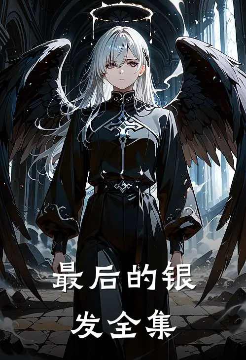 最后的银发 全集