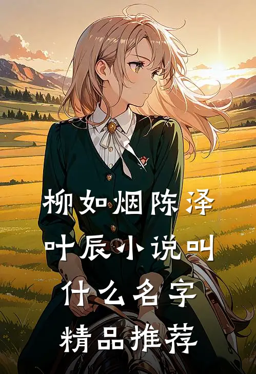 柳如烟陈泽叶辰小说叫什么名字精品推荐