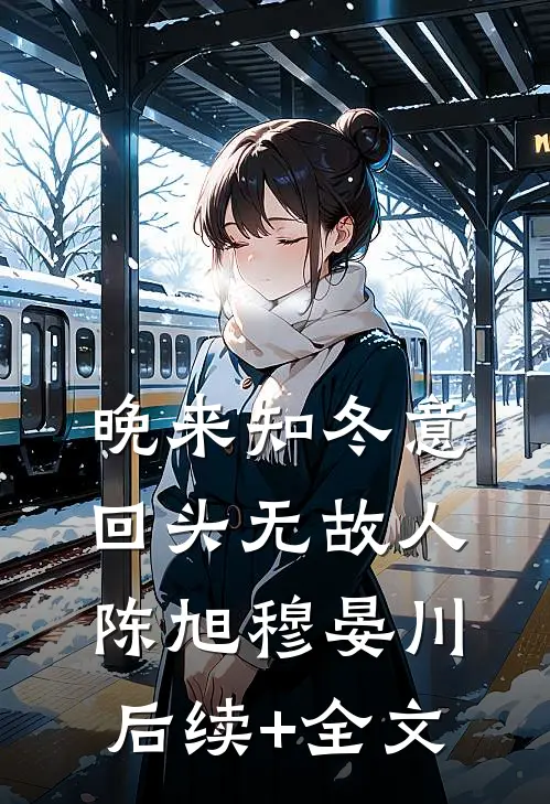 晚来知冬意，回头无故人陈旭穆晏川后续+全文