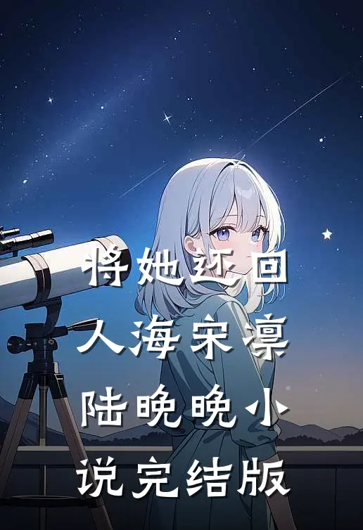 将她还回人海宋凛陆晚晚小说完结版