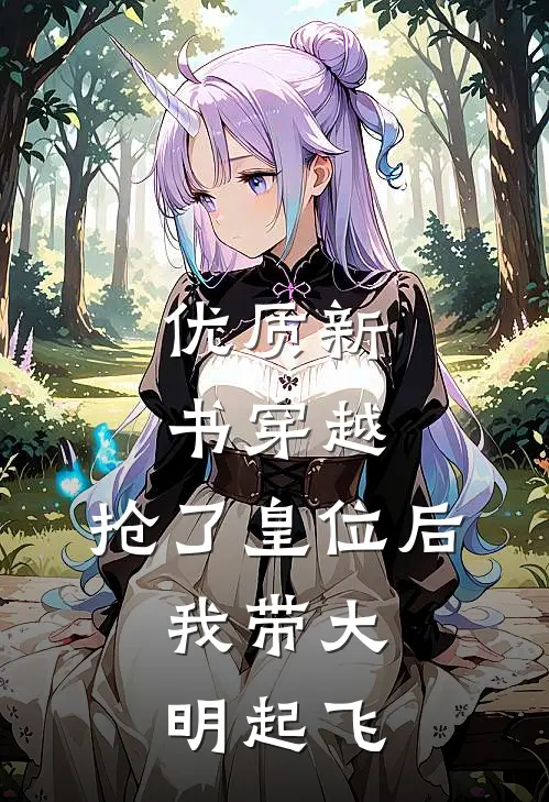 优质新书穿越：抢了皇位后，我带大明起飞