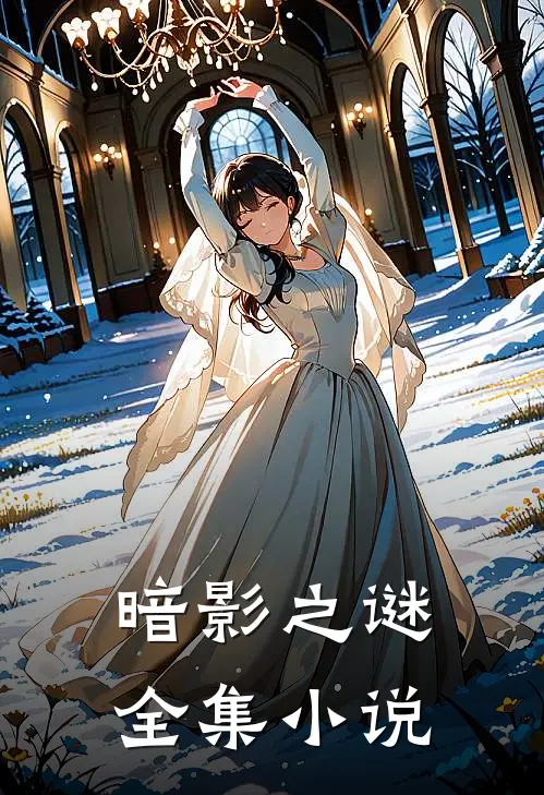 暗影之谜全集小说