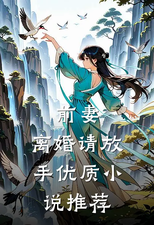 前妻，离婚请放手优质小说推荐