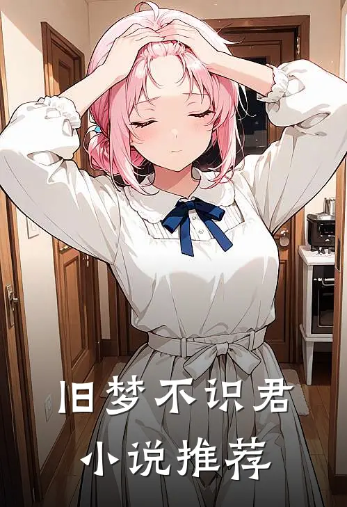 旧梦不识君小说推荐