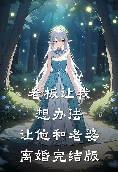 老板让我想办法，让他和老婆离婚完结版
