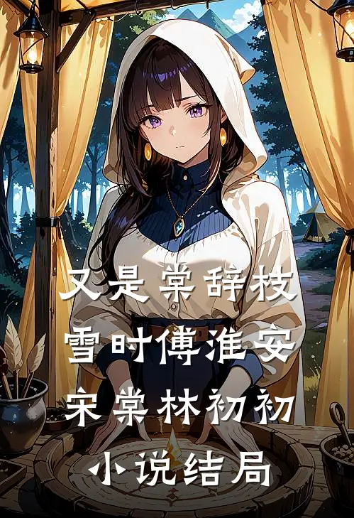又是棠辞枝雪时傅淮安宋棠林初初小说结局