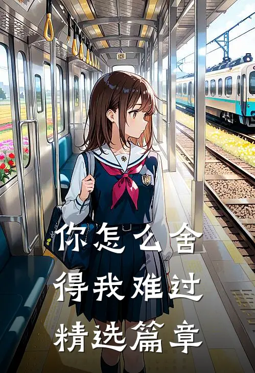 你怎么舍得我难过精选篇章