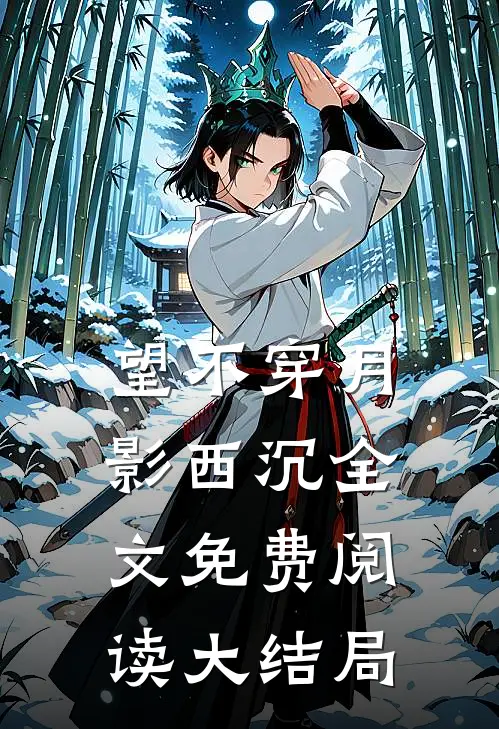 望不穿月影西沉全文免费阅读大结局