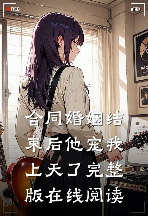 合同婚姻结束后他宠我上天了完整版在线阅读