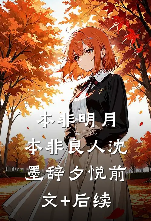 本非明月，本非良人沈墨辞夕悦前文+后续