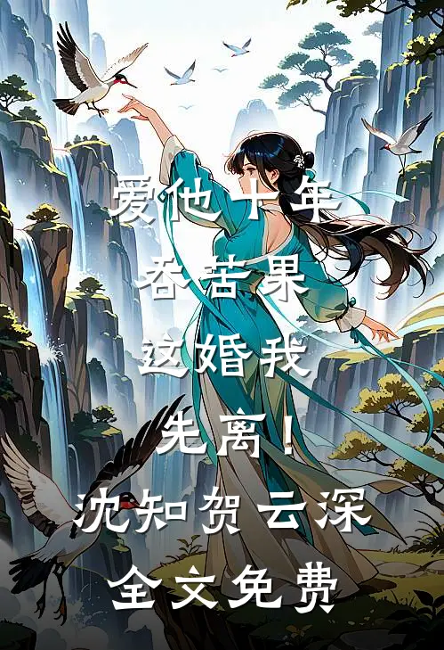 爱他十年吞苦果，这婚我先离！沈知贺云深全文免费