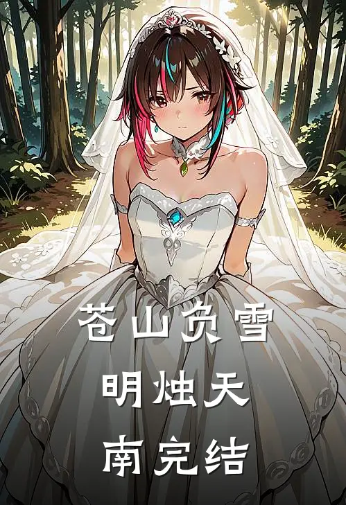 苍山负雪，明烛天南完结
