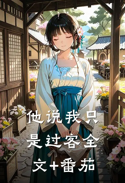 他说我只是过客全文+番茄
